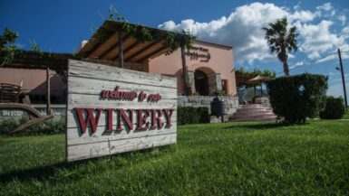 Hatziemmanouil vingård Kos