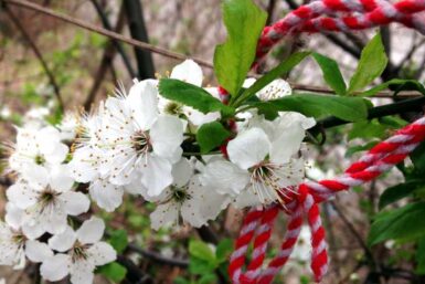 den 1 mars första månaden av våren